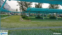 Gạch trồng cỏ bó gốc cây