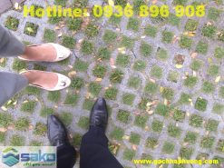 Gạch 8 lỗ trồng cỏ