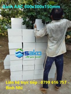 Gạch bê tông nhẹ AAC và các ứng dụng