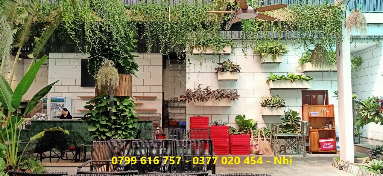 Gạch bê tông nhẹ AAC ứng dụng làm sân vườn, quán caffe