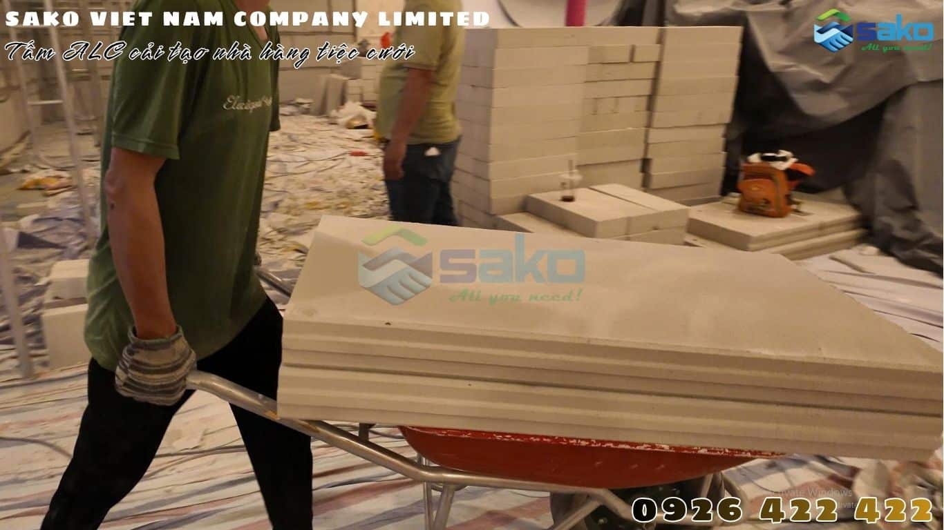 Tấm ALC 1200x600x100